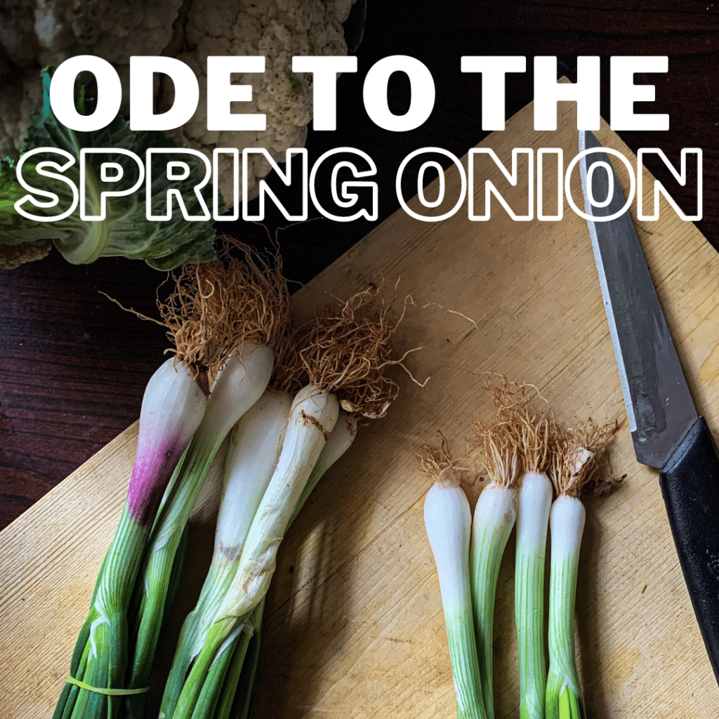 Ode To The Spring Onion