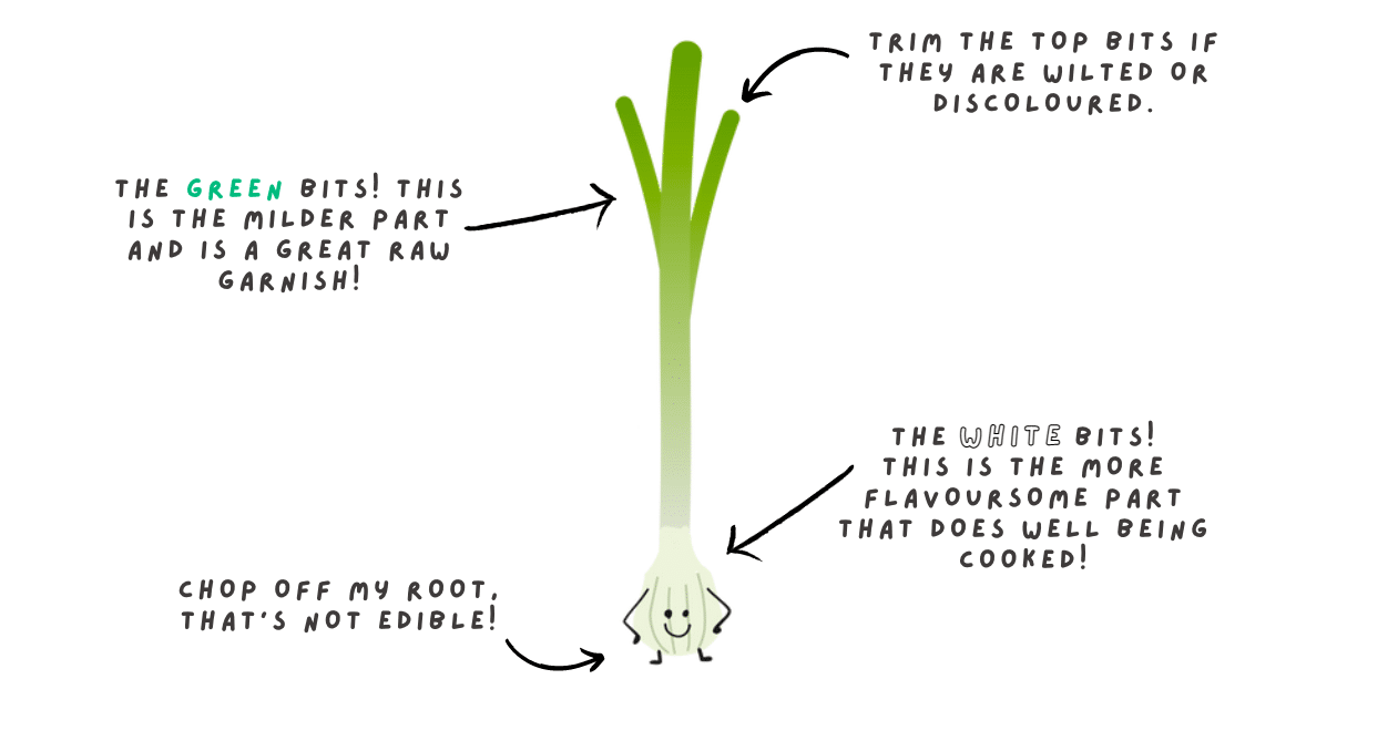 Spring Onion Description