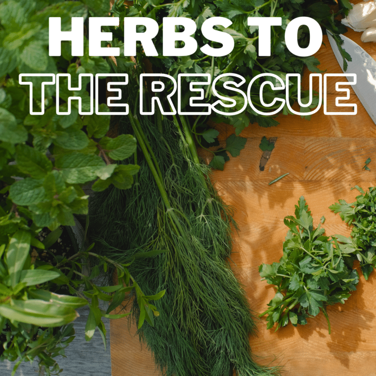 Herbs To The Rescue