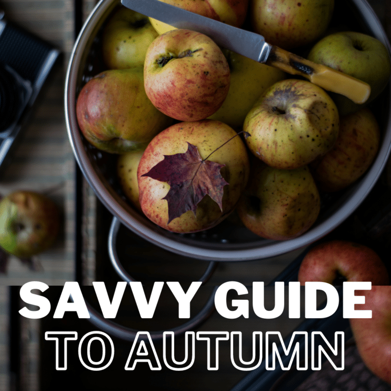 Savvy Guide to Autumn