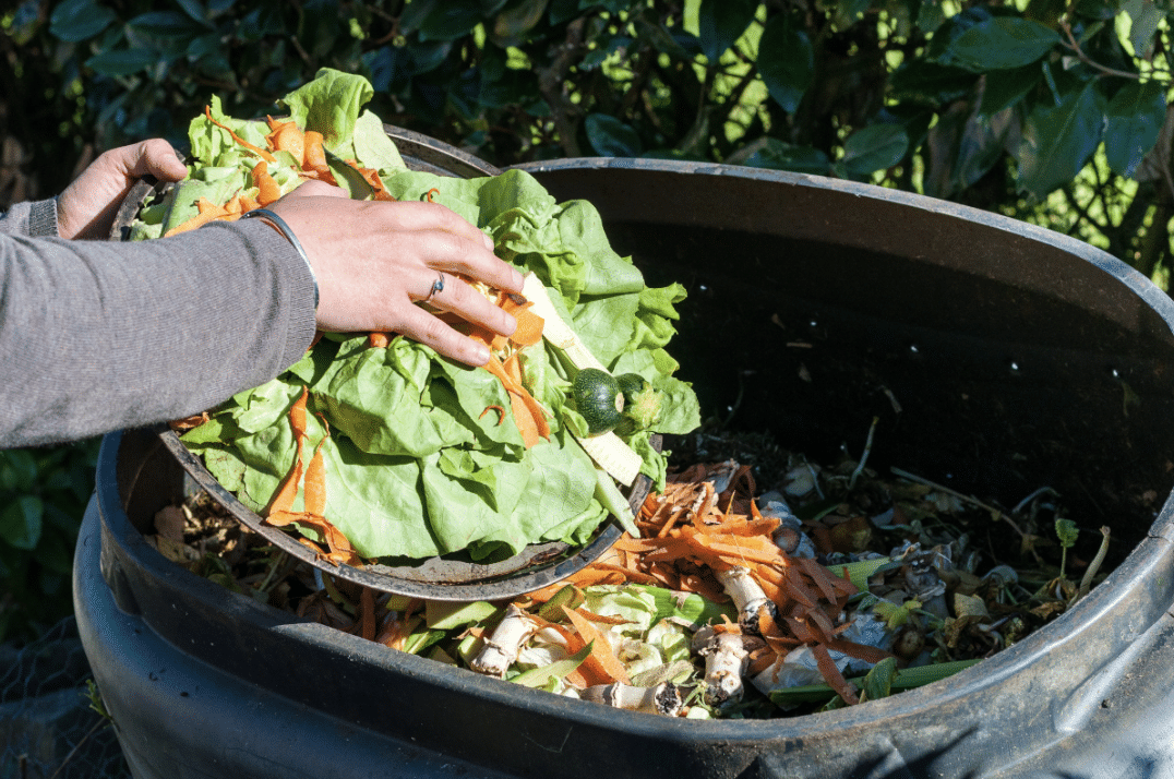 A Hidden Secret Ingredient to a Sustainable Kitchen